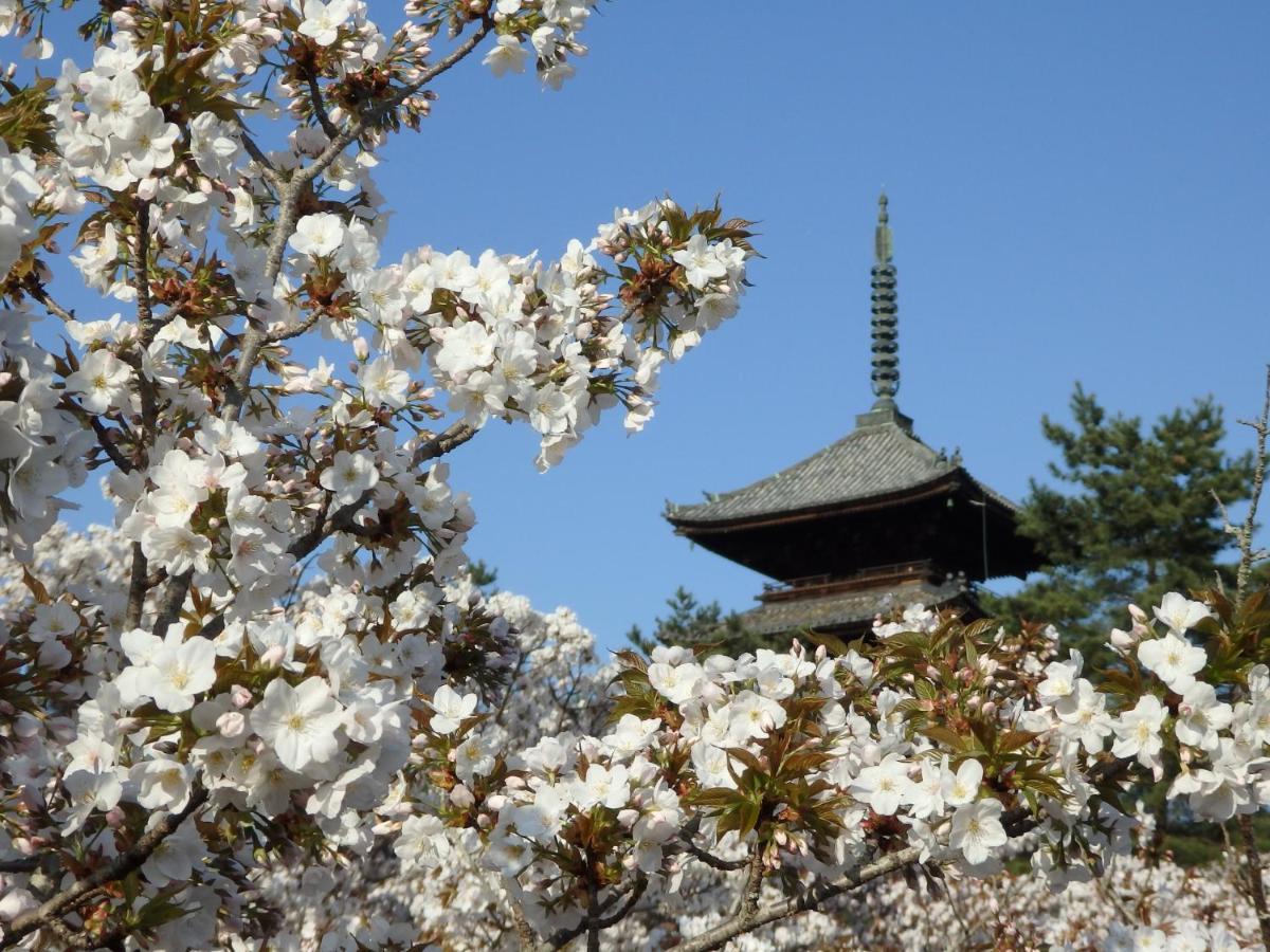 Stay Sakura Kyoto Tsubaki Екстер'єр фото