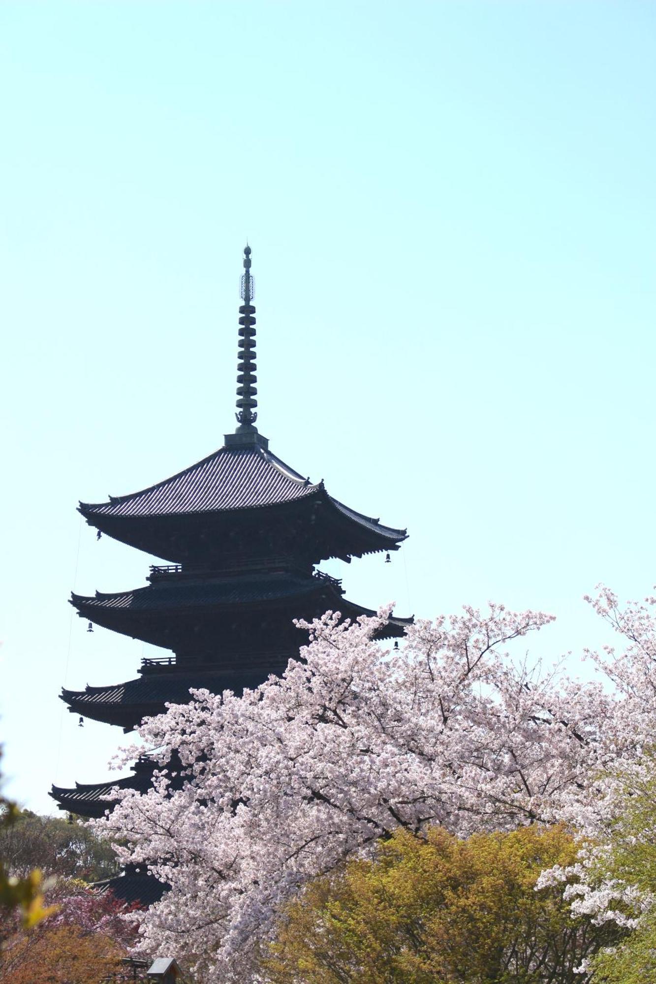 Stay Sakura Kyoto Tsubaki Екстер'єр фото
